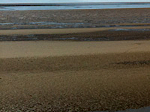 Severn Estuary mud flats