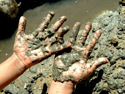 muddy hands